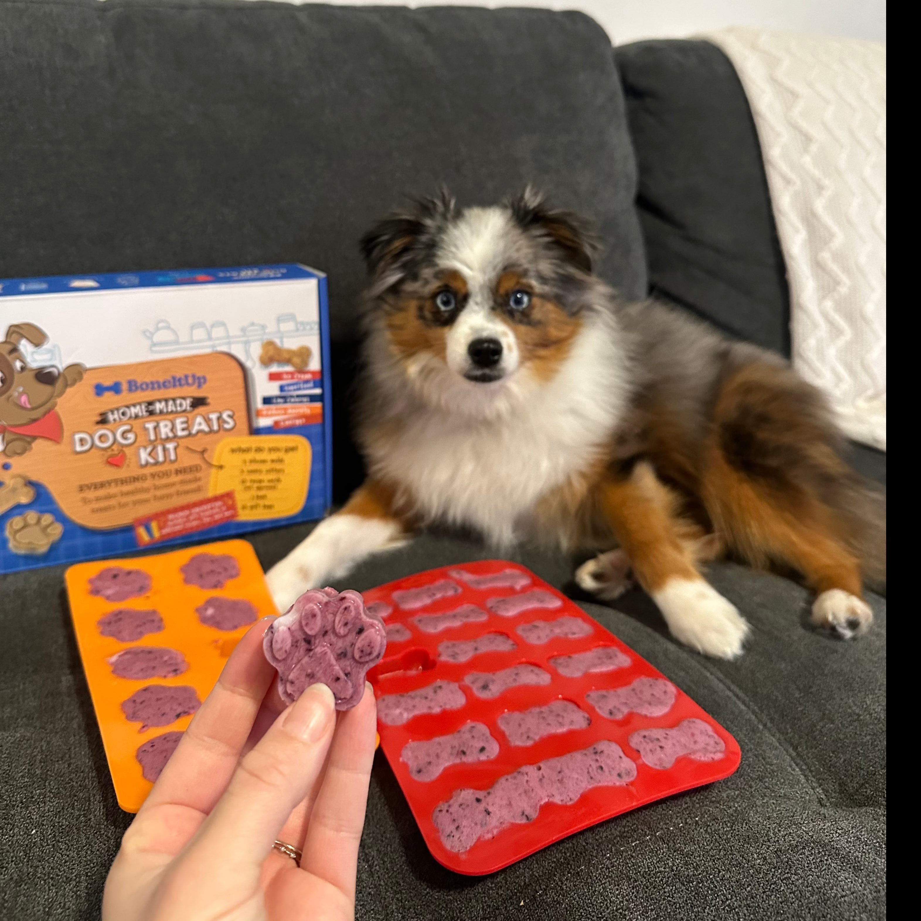 BoneItUp® Dog X2 Bundle