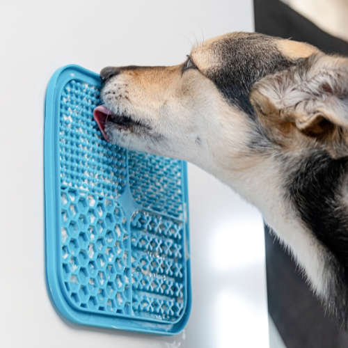 BoneItUp Lick Mat for Dogs & Cats โ BPA-Free Dog Food Mat Slow Feeder, Crate Training, Dental Health & Digestion โ Slow Feeder Mat for Dogs - Dishwasher Safe Crate Lick Mat (Blue)