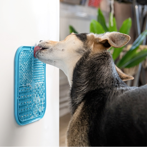 BoneItUp Lick Mat for Dogs & Cats โ BPA-Free Dog Food Mat Slow Feeder, Crate Training, Dental Health & Digestion โ Slow Feeder Mat for Dogs - Dishwasher Safe Crate Lick Mat (Blue)