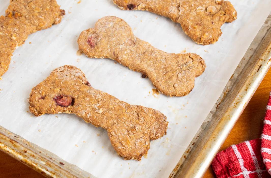 Training with Treats: Homemade Rewards for Obedient Pups